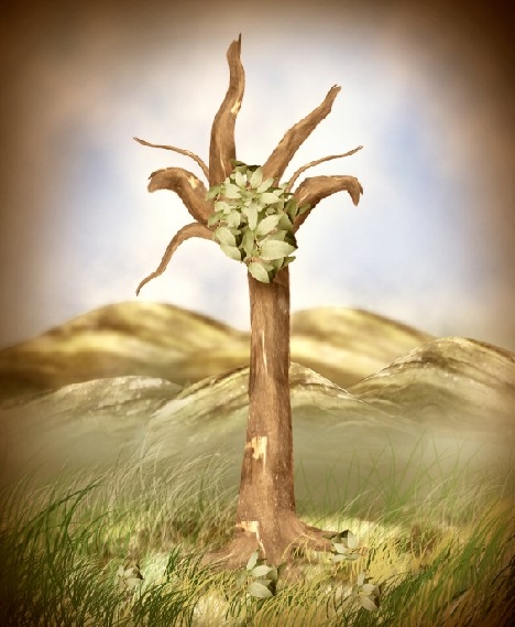 Creation of Tree: Step 14